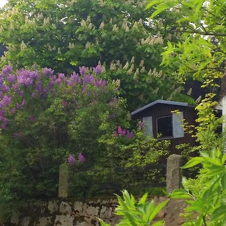 דירה Antjes Kleines Nest Tröstau